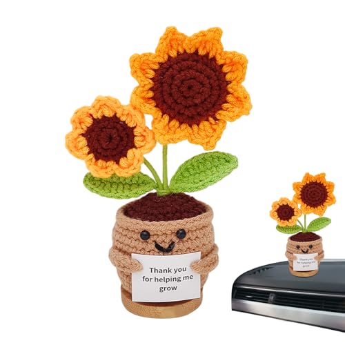 Positive Häkelblume | Gestrickte Topfpflanzen | Sammelpuppen mit Inspirationskarten für Frauen Kollegen Lehrer Freunde Zuhause Auto Büro Positive Häkelblume | Gestrickte Topfpflanzen | Sammelpuppen mit Inspirationskarten für Frauen Kollegen Lehrer Freunde Zuhause Auto Büro von Generisch