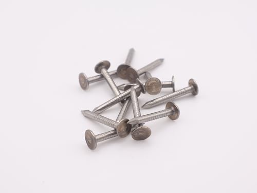 Schieferstifte Edelstahl 2,8 x 25 mm – 2,5 kg Packung | Korrosionsbeständig | Nägel für Schiefer, Dach, Fassade, Holzarbeiten Schieferstifte Edelstahl 2,8 x 25 mm – 2,5 kg Packung | Korrosionsbeständig | Nägel für Schiefer, Dach, Fassade, Holzarbeiten von Generisch
