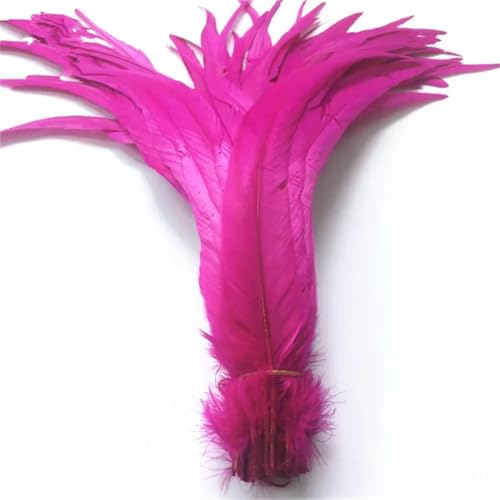 Schwarze Hahn-Schwanzfedern, 40–45 cm, lange Hahnfedern für Bastelarbeiten, Hochzeitsdekoration, DIY, Rosenrot, 500 Stück Schwarze Hahn-Schwanzfedern, 40–45 cm, lange Hahnfedern für Bastelarbeiten, Hochzeitsdekoration, DIY, Rosenrot, 500 Stück von Generisch