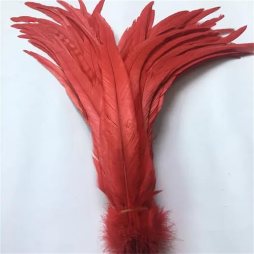 Schwarze Hahnfedern, 40–45 cm, lange Hahnfedern für Bastelarbeiten, Hochzeitsdekoration, DIY, Rot, 500 Stück Schwarze Hahnfedern, 40–45 cm, lange Hahnfedern für Bastelarbeiten, Hochzeitsdekoration, DIY, Rot, 500 Stück von Generisch