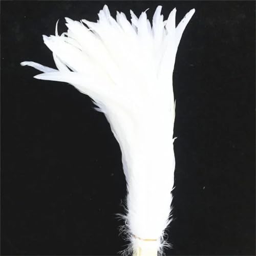 Schwarze Hahnfedern, 40–45 cm lang, Hahnfedern zum Basteln, Hochzeitsdekoration, DIY, solides Weiß, 100 Stück Schwarze Hahnfedern, 40–45 cm lang, Hahnfedern zum Basteln, Hochzeitsdekoration, DIY, solides Weiß, 100 Stück von Generisch
