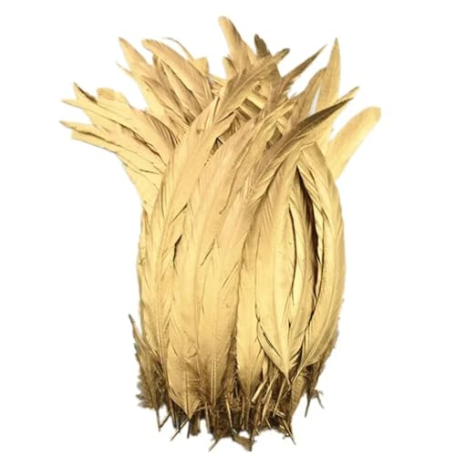 Schwarze Hahnfedern zum Basteln, 30-35 cm, Federdekoration, Karneval, Hochzeit, Party, Dekoration, Spray, Gold, 200 Stück Schwarze Hahnfedern zum Basteln, 30-35 cm, Federdekoration, Karneval, Hochzeit, Party, Dekoration, Spray, Gold, 200 Stück von Generisch