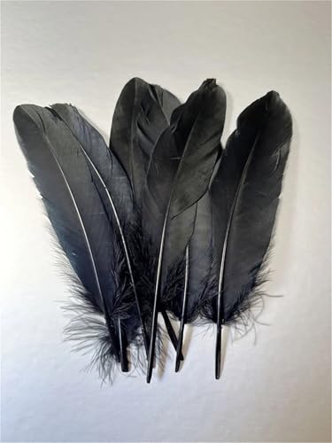 Seidenglanz-Spitzen mit spitzer Spitze, 15–20 cm, Schwarz und Weiß, für DIY-Schmuckherstellung, Hutverzierungen und Bastelprojekte von Generisch