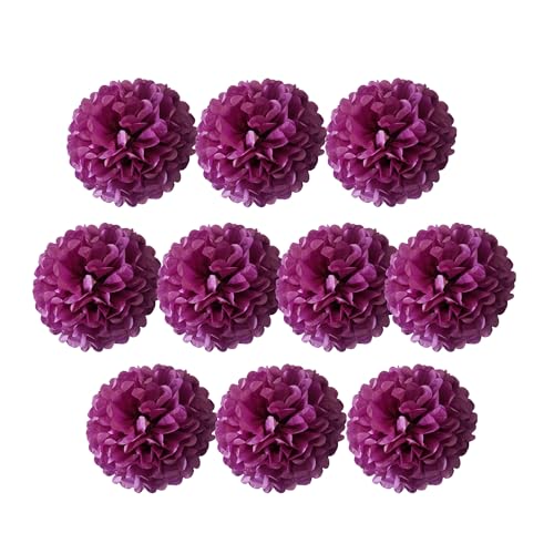 Seidenpapier-Pompons, Seidenpapier-Blumenbälle für Hochzeitsdekoration, Partyzubehör, Bastelpapier, Blumen-Pompons, Fuchsia, 10 Stück, 10 cm, 10 cm Seidenpapier-Pompons, Seidenpapier-Blumenbälle für Hochzeitsdekoration, Partyzubehör, Bastelpapier, Blumen-Pompons, Fuchsia, 10 Stück, 10 cm, 10 cm von Generisch