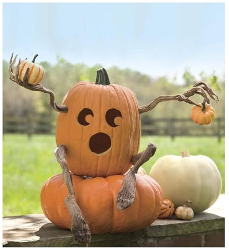 Set mit 4 biegbaren Kürbisarmen und Beinen, Halloween-Dekorationen für den Innen- und Außenbereich, Horror-Kürbis-Halloween-Party-Dekor, Kürbis zum Selbermachen, Halloween-Handwerk Set mit 4 biegbaren Kürbisarmen und Beinen, Halloween-Dekorationen für den Innen- und Außenbereich, Horror-Kürbis-Halloween-Party-Dekor, Kürbis zum Selbermachen, Halloween-Handwerk von Generisch