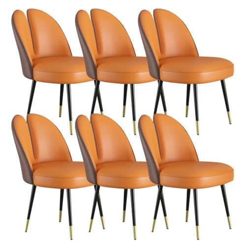 Set mit 6 Tischsets aus Leder mit Katzenklaue, stilvolle Küchen- und Esstisch-Matten, perfekt für Schlafzimmer, Make-up-Bereich, Balkon, Couchtisch, elegante Farbpalette von Generisch