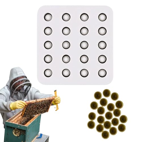 Silikon-Käfig für Bienenkönigin, 20 Löcher, hitzebeständig, antihaftbeschichtet, Stabilisierung, manuelle Imkerei-Werkzeuge für Hobbyisten, Anfänger, städtische, kommerzielle landwirtschaftliche Imker Silikon-Käfig für Bienenkönigin, 20 Löcher, hitzebeständig, antihaftbeschichtet, Stabilisierung, manuelle Imkerei-Werkzeuge für Hobbyisten, Anfänger, städtische, kommerzielle landwirtschaftliche Imker von Generisch