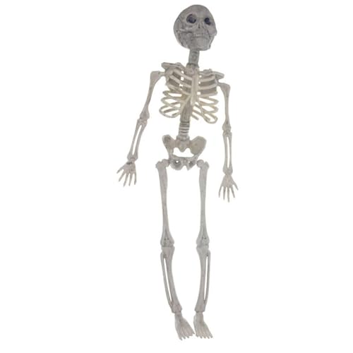 Skelettfigur | Bewegliche Gelenke Schädel Ganzkörper menschlicher Knochen Modell Spielzeug,Skelett Figur für Halloween Requisiten Gruselige Party Deko Skelettfigur | Bewegliche Gelenke Schädel Ganzkörper menschlicher Knochen Modell Spielzeug,Skelett Figur für Halloween Requisiten Gruselige Party Deko von Generisch