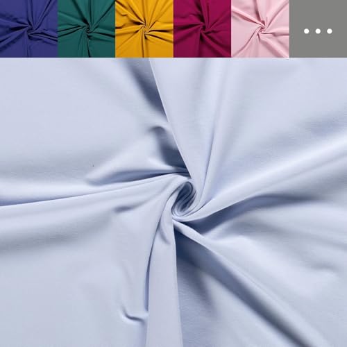 Sommersweat Meterware - French-Terry Sweatstoff - Sweat Stoff, Pullistoff, Dicker Jersey *Ab 50cm, Farbe: 002 hellblau von Generisch