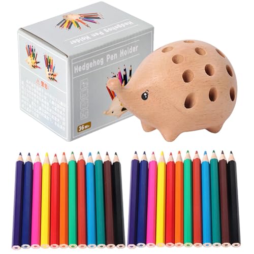 Stiftehalter aus , Igel-Stiftehalter, 24 Buntstifte, kreatives Igel-Schreibtisch-Ornament, niedliche Tierfigur mit Löchern von Generisch