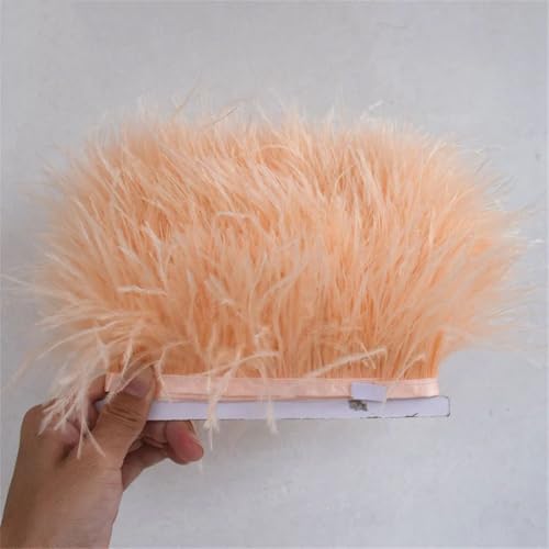 Straußenband, Federlänge 8–11 cm, Bastelzubehör, Federbesatz, Fransen für DIY, Kleid, Nähen, Handwerk, Blutbeige, 1 m Straußenband, Federlänge 8–11 cm, Bastelzubehör, Federbesatz, Fransen für DIY, Kleid, Nähen, Handwerk, Blutbeige, 1 m von Generisch