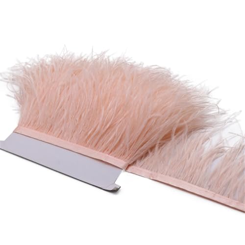 Straußenfeder-Band, 8–10 cm, Dekoration für Hochzeit, Party, Kleid, Nähen, Basteln, Feder, 2 m, Champagner Straußenfeder-Band, 8–10 cm, Dekoration für Hochzeit, Party, Kleid, Nähen, Basteln, Feder, 2 m, Champagner von Generisch