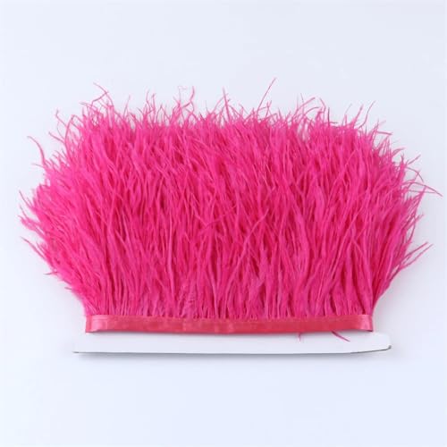 Straußenfeder-Band, 8 - 10 cm, Straußenfeder-Band, für Heimwerker, Hochzeit, Party, Kleidung, Nähen, Dekoration, Wassermelonenrot, 4,5 m Straußenfeder-Band, 8 - 10 cm, Straußenfeder-Band, für Heimwerker, Hochzeit, Party, Kleidung, Nähen, Dekoration, Wassermelonenrot, 4,5 m von Generisch