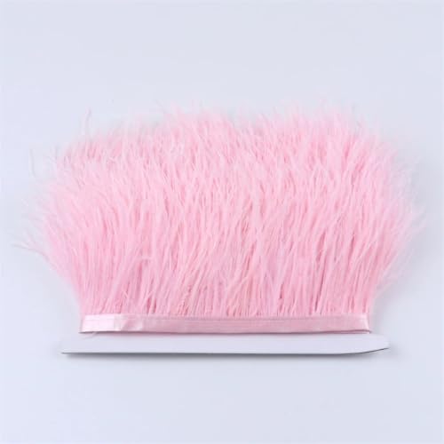 Straußenfeder-Band, 8 - 10 cm, Straußenfeder-Band, für Heimwerker, Hochzeit, Party, Kleidung, Nähen, Dekoration, leicht, 9,1 m Straußenfeder-Band, 8 - 10 cm, Straußenfeder-Band, für Heimwerker, Hochzeit, Party, Kleidung, Nähen, Dekoration, leicht, 9,1 m von Generisch
