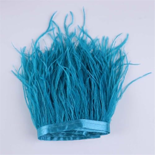 Straußenfeder-Band, gefärbt, bunt, Breite 10–15 cm, für Hochzeitskleid, Nähen, Basteln, Federn 035, 1 m Straußenfeder-Band, gefärbt, bunt, Breite 10–15 cm, für Hochzeitskleid, Nähen, Basteln, Federn 035, 1 m von Generisch