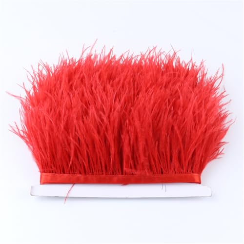 Straußenfeder-Bordüre, 1 m, Straußenfedern, 8-10 cm, für Kleid, Kleidung, Dekoration, Nähen, Federn, Basteln, 03, Rot Straußenfeder-Bordüre, 1 m, Straußenfedern, 8-10 cm, für Kleid, Kleidung, Dekoration, Nähen, Federn, Basteln, 03, Rot von Generisch