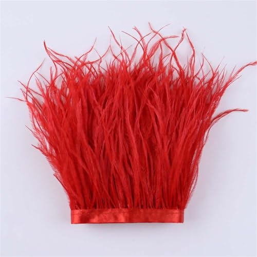 Straußenfeder-Bordüre, 10 Meter/Los, 10-15 cm, Webband, Dekoration für Hochzeitskleid, Nähen, Basteln, Federn 03 von Generisch