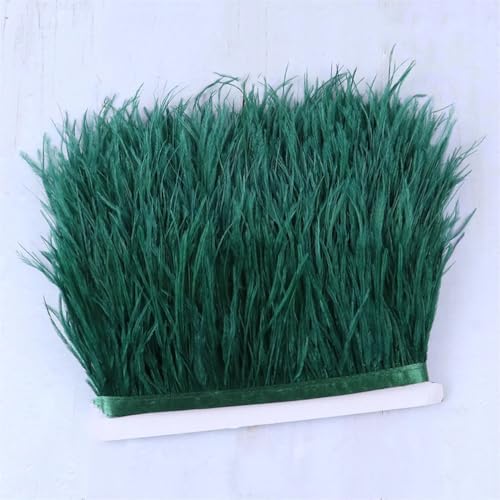 Straußenfeder-Bordüre, 6–15 cm, DIY, Party, dekoratives Zubehör, Straußenfeder-Fransenborte mit Band, dunkel, EN8, 10–15 cm, 9,1 m Straußenfeder-Bordüre, 6–15 cm, DIY, Party, dekoratives Zubehör, Straußenfeder-Fransenborte mit Band, dunkel, EN8, 10–15 cm, 9,1 m von Generisch
