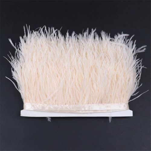 Straußenfeder-Bordüre, 6–8 cm, flauschige, bunte Federn zum Basteln, Hochzeitsdekoration, Nähzubehör, Champagner, 1 m Straußenfeder-Bordüre, 6–8 cm, flauschige, bunte Federn zum Basteln, Hochzeitsdekoration, Nähzubehör, Champagner, 1 m von Generisch