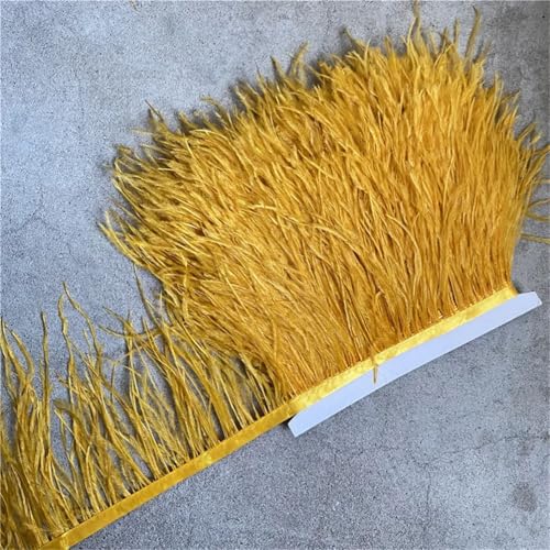 Straußenfeder-Bordüre, Fransenband, Nähzubehör, Kleid, DIY, Kleidung, Hochzeitsfedern zum Basteln, Altgelb, 9,1 m Straußenfeder-Bordüre, Fransenband, Nähzubehör, Kleid, DIY, Kleidung, Hochzeitsfedern zum Basteln, Altgelb, 9,1 m von Generisch
