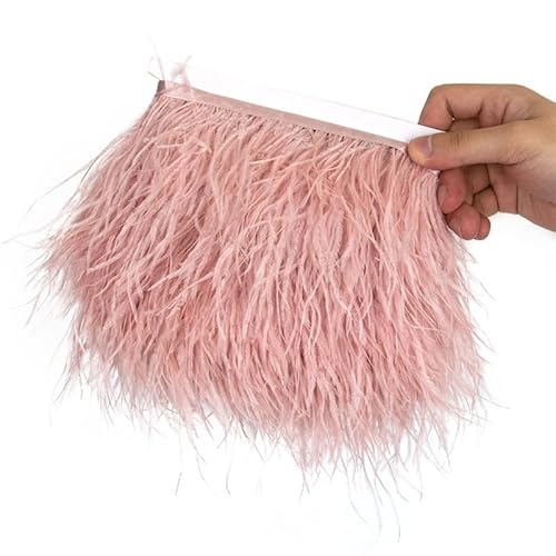 Straußenfeder-Bordüre, flauschige natürliche Straußenfedern, Fransenband, 6–18 cm, Hochzeit, Party, Kleid/Rock, Dekoration, 01 Haut, Pnnrk, 15–18 cm Straußenfeder-Bordüre, flauschige natürliche Straußenfedern, Fransenband, 6–18 cm, Hochzeit, Party, Kleid/Rock, Dekoration, 01 Haut, Pnnrk, 15–18 cm von Generisch