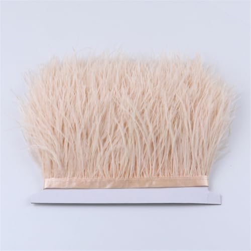 Straußenfeder-Bordüre, flauschige natürliche Straußenfedern, Fransenband, 6–18 cm, Hochzeit, Party, Kleid/Rock, Dekoration, 019, Champagner, 15–18 cm Straußenfeder-Bordüre, flauschige natürliche Straußenfedern, Fransenband, 6–18 cm, Hochzeit, Party, Kleid/Rock, Dekoration, 019, Champagner, 15–18 cm von Generisch