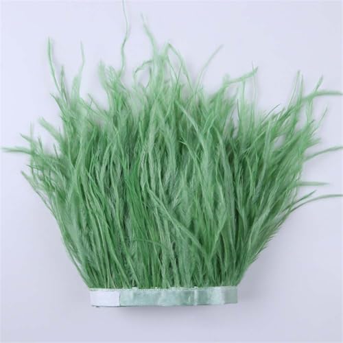 Straußenfeder-Bordüre, gefärbt, bunt, Breite 10–15 cm, für Hochzeitskleid, Nähen, Basteln, Federn, 31, 1 m Straußenfeder-Bordüre, gefärbt, bunt, Breite 10–15 cm, für Hochzeitskleid, Nähen, Basteln, Federn, 31, 1 m von Generisch