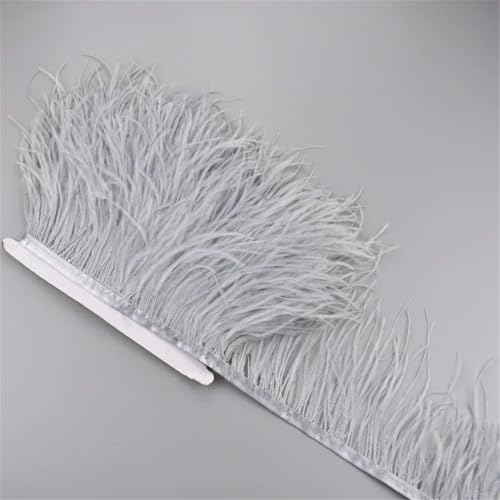 Straußenfederband, 5 m, 10–15 cm, Quaste, Fransenborten zum Nähen von Rock, Kleidung, Accessoires, Hochzeit, Grau Straußenfederband, 5 m, 10–15 cm, Quaste, Fransenborten zum Nähen von Rock, Kleidung, Accessoires, Hochzeit, Grau von Generisch