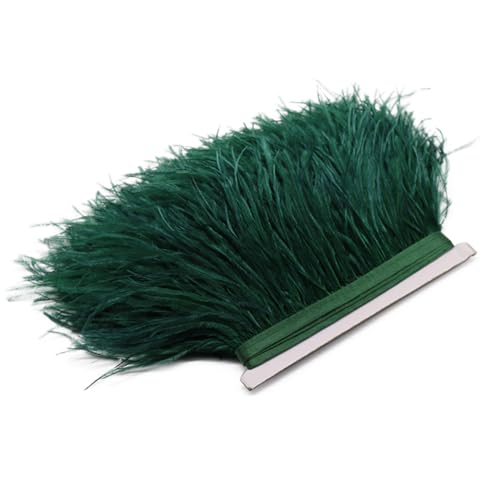 Straußenfederborten Fransen 8-18cm Natur Straußenfeder Band für Hochzeitskleid/Rock dekorativ dunkel EN8 15-18cm Straußenfederborten Fransen 8-18cm Natur Straußenfeder Band für Hochzeitskleid/Rock dekorativ dunkel EN8 15-18cm von Generisch