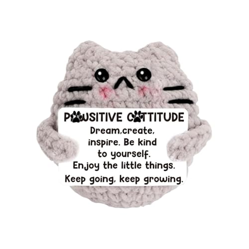Strickende Katze, handgemachte Cartoon-Katze mit positiver Karte, Schlüsselanhänger Ornament Handwerk Anhänger für Kätzchenpuppen für Mädchen Kinder Adoles von Generisch