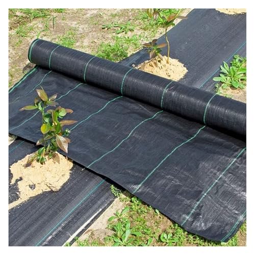 Unkrautvlies für Einfahrten und Gärten – Premium-Bodenabdeckungs-Membran für Landschaften, 1 m x 100 m – Unkrautschutzunterlage für effektive Unkrautverhütung von Generisch