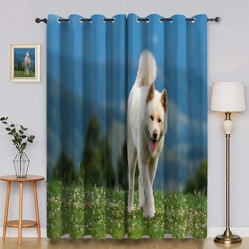 Verdunklungsvorhänge Chinesischer Landhund, Vorhang Blickdicht Tier Vorhänge mit öSen 2er Set für Schlafzimmer Kinderzimmer, Deko Gardinen Wohnzimmer - B140 x H220 cm aA3198 Verdunklungsvorhänge Chinesischer Landhund, Vorhang Blickdicht Tier Vorhänge mit öSen 2er Set für Schlafzimmer Kinderzimmer, Deko Gardinen Wohnzimmer - B140 x H220 cm aA3198 von Generisch
