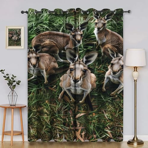 Verdunklungsvorhänge KäNguru, Vorhang Blickdicht Tier Vorhänge mit öSen 2er Set für Schlafzimmer Kinderzimmer, Deko Gardinen Wohnzimmer - B140 x H220 cm aA4270 von Generisch