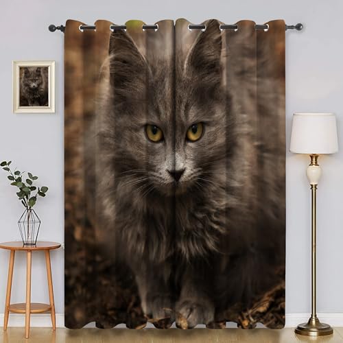 Verdunklungsvorhänge Sibirische Katze, Vorhang Blickdicht Tier Vorhänge mit öSen 2er Set für Schlafzimmer Kinderzimmer, Deko Gardinen Wohnzimmer - B140 x H260 cm aA3128 Verdunklungsvorhänge Sibirische Katze, Vorhang Blickdicht Tier Vorhänge mit öSen 2er Set für Schlafzimmer Kinderzimmer, Deko Gardinen Wohnzimmer - B140 x H260 cm aA3128 von Generisch