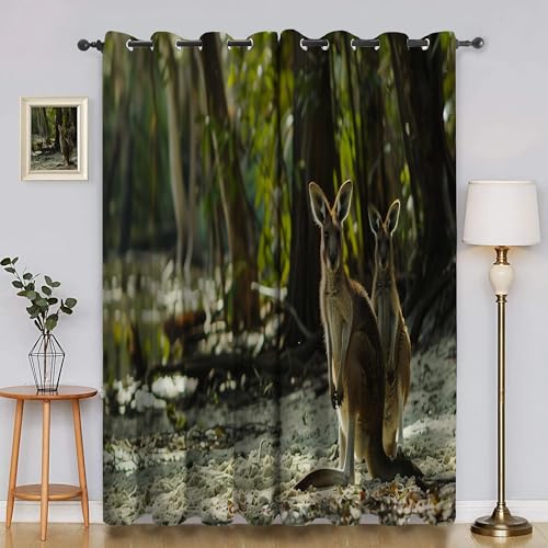 Verdunklungsvorhänge Tiere, Vorhang Blickdicht KäNguru Vorhänge mit öSen 2er Set für Schlafzimmer Kinderzimmer, Deko Gardinen Wohnzimmer - B140 x H245 cm aA4279 von Generisch