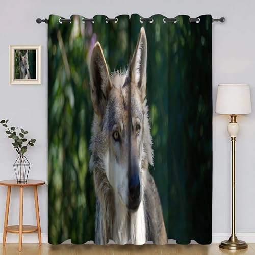 Verdunklungsvorhänge Tiere, Vorhang Blickdicht Mexikanischer Wolf Vorhänge mit öSen 2er Set für Schlafzimmer Kinderzimmer, Deko Gardinen Wohnzimmer - B132 x H160 cm aA2499 Verdunklungsvorhänge Tiere, Vorhang Blickdicht Mexikanischer Wolf Vorhänge mit öSen 2er Set für Schlafzimmer Kinderzimmer, Deko Gardinen Wohnzimmer - B132 x H160 cm aA2499 von Generisch