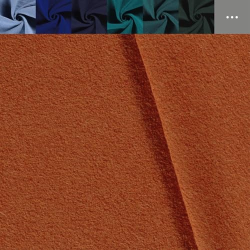 Walkloden Meterware - Walkstoff uni - Mantelstoff, Trachtenstoff - Wollwalk - Loden - 100% Schurwolle, mulesingfreie Wolle *Ab 50cm, Farbe: 036 terra Walkloden Meterware - Walkstoff uni - Mantelstoff, Trachtenstoff - Wollwalk - Loden - 100% Schurwolle, mulesingfreie Wolle *Ab 50cm, Farbe: 036 terra von Generisch