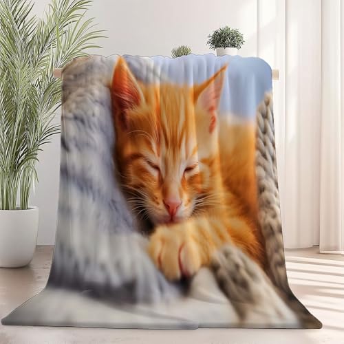 Weiche Kuscheldecke 220 x 240 cm fürs Kinderbett, Tier Süß Katze Thema Kuscheldecke Leichter Plüschstoff für Sofa Couch Schlafzimmer Wohnzi - Gelb Grau Weiche Kuscheldecke 220 x 240 cm fürs Kinderbett, Tier Süß Katze Thema Kuscheldecke Leichter Plüschstoff für Sofa Couch Schlafzimmer Wohnzi - Gelb Grau von Generisch