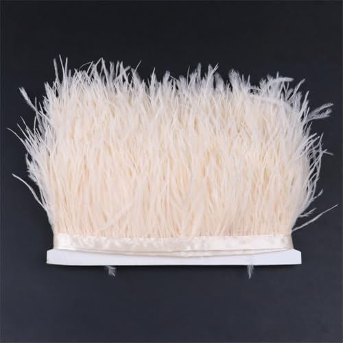 Weiches, flauschiges Straußenfeder-Band, natürliche Federn, Fransen, 6–22 cm, Hochzeitskleider, Nähzubehör, 6–8 cm, Champagner, 1 Meter Weiches, flauschiges Straußenfeder-Band, natürliche Federn, Fransen, 6–22 cm, Hochzeitskleider, Nähzubehör, 6–8 cm, Champagner, 1 Meter von Generisch