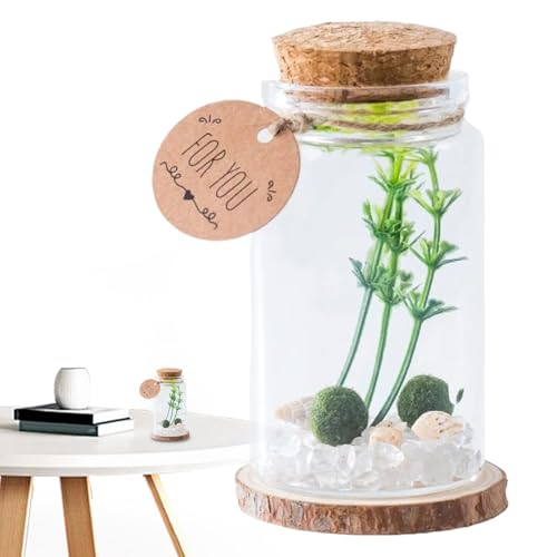 Winzige Gläser mit Korkdeckel – transparente Driftflasche | stilvolle Glasaufbewahrung Drift Crafts Nachricht Wunsch für Zuhause, Küche, Freunde, Dekoration, Schreibtisch-Ornament Winzige Gläser mit Korkdeckel – transparente Driftflasche | stilvolle Glasaufbewahrung Drift Crafts Nachricht Wunsch für Zuhause, Küche, Freunde, Dekoration, Schreibtisch-Ornament von Generisch
