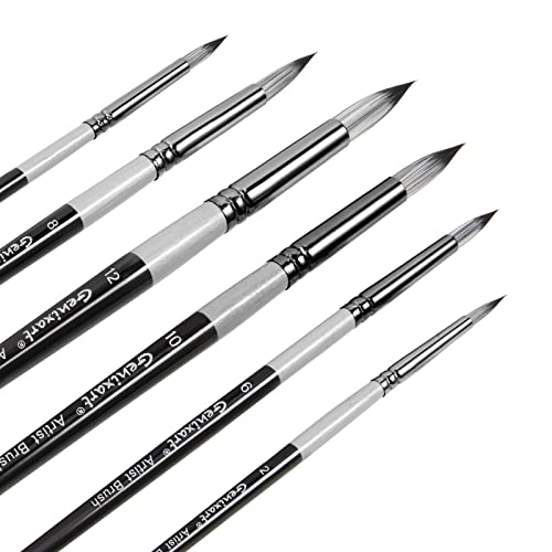 Pinsel-Set mit runder Spitze, 6 Stück Künstlerpinsel für Acrylöl, Aquarell, Gouache-Malerei, Premium-Nylon-Haarkunst-Pinsel für Anfänger und Profis Pinsel-Set mit runder Spitze, 6 Stück Künstlerpinsel für Acrylöl, Aquarell, Gouache-Malerei, Premium-Nylon-Haarkunst-Pinsel für Anfänger und Profis von Genixart