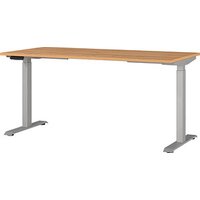 GERMANIA JET höhenverstellbarer Schreibtisch grandson-eiche rechteckig, T-Fuß-Gestell silber 160,0 x 80,0 cm GERMANIA JET höhenverstellbarer Schreibtisch grandson-eiche rechteckig, T-Fuß-Gestell silber 160,0 x 80,0 cm von Germania
