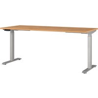 GERMANIA JET höhenverstellbarer Schreibtisch grandson-eiche rechteckig, T-Fuß-Gestell silber 180,0 x 80,0 cm GERMANIA JET höhenverstellbarer Schreibtisch grandson-eiche rechteckig, T-Fuß-Gestell silber 180,0 x 80,0 cm von Germania