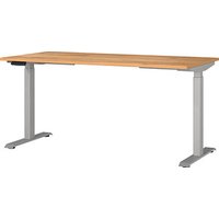 GERMANIA JET höhenverstellbarer Schreibtisch navarra-eiche rechteckig, T-Fuß-Gestell silber 160,0 x 80,0 cm GERMANIA JET höhenverstellbarer Schreibtisch navarra-eiche rechteckig, T-Fuß-Gestell silber 160,0 x 80,0 cm von Germania