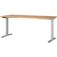 GERMANIA JET höhenverstellbarer Schreibtisch navarra-eiche rechteckig, T-Fuß-Gestell silber 180,0 x 80,0 cm GERMANIA JET höhenverstellbarer Schreibtisch navarra-eiche rechteckig, T-Fuß-Gestell silber 180,0 x 80,0 cm von Germania