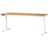 GERMANIA JET höhenverstellbarer Schreibtisch navarra-eiche rechteckig, T-Fuß-Gestell weiß 180,0 x 80,0 cm GERMANIA JET höhenverstellbarer Schreibtisch navarra-eiche rechteckig, T-Fuß-Gestell weiß 180,0 x 80,0 cm von Germania