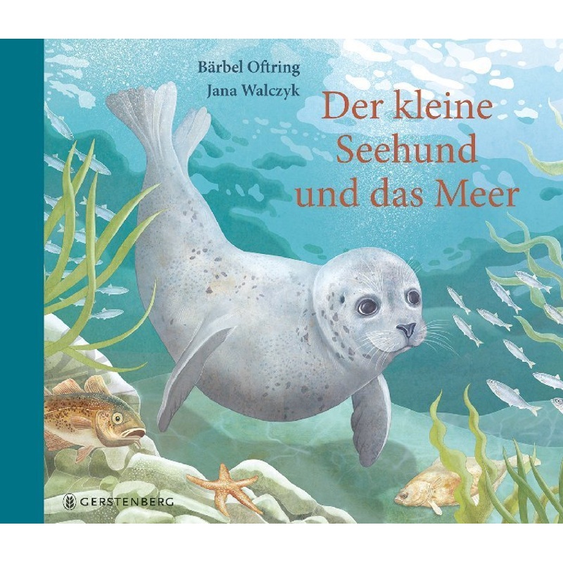Der Kleine Seehund Und Das Meer - Bärbel Oftring, Gebunden von Gerstenberg Verlag