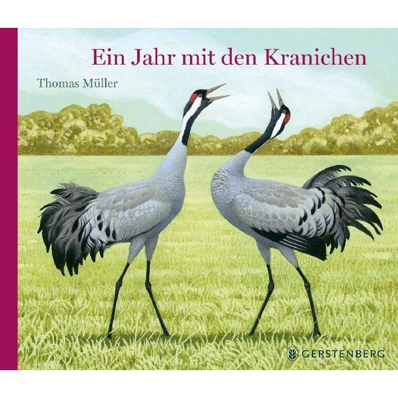 Ein Jahr Mit Den Kranichen - Thomas Müller, Gebunden von Gerstenberg Verlag
