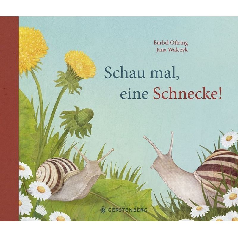 Schau Mal, Eine Schnecke! - Bärbel Oftring, Gebunden von Gerstenberg Verlag