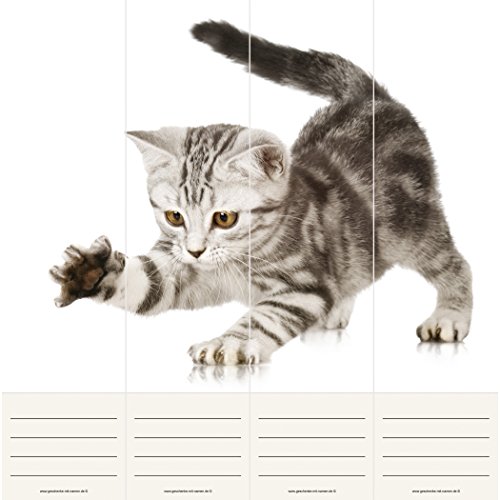 Ordner Rücken KATZENBABY, 4 Ordner Etiketten (Selbstklebend, je 7 cm breit) ergeben zusammen ein großes Einzelbild auf 4 Ordnern von Geschenke mit Namen